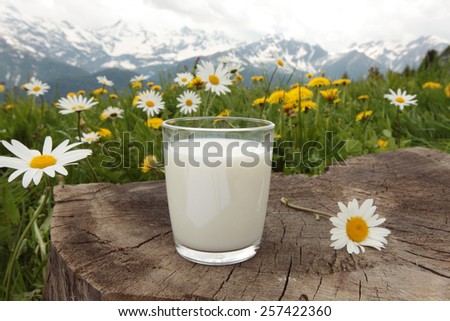 Milk glass and milk carafe on  the chamomile meadow background  in the Alps mountains