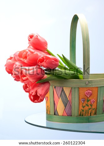 Pink tulips bunch in a basket isolated on white background