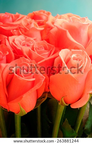 Pink / red roses bouquet  background