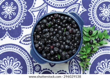 Fresh blueberry bowl and blueberry plant branch