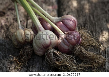 Garlic bulbs and garlic cloves on wooden background