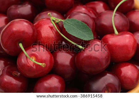 Cherry basket / Sweet cherry background/ cherry with leaf