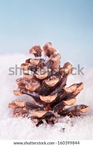 pine cone in snow christmas decoration