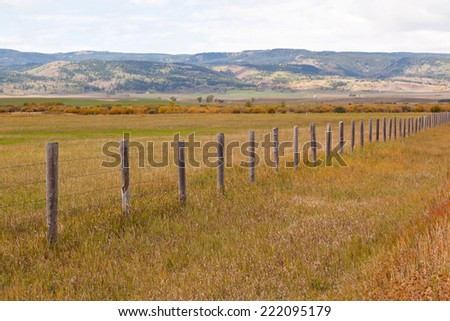 ranch country  fence in fall