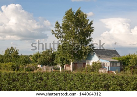 Russian small country house. Potato field in the foreground.