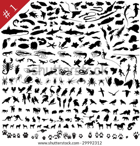 # 1 set of  different animals, birds, insects and fishes  vector silhouettes