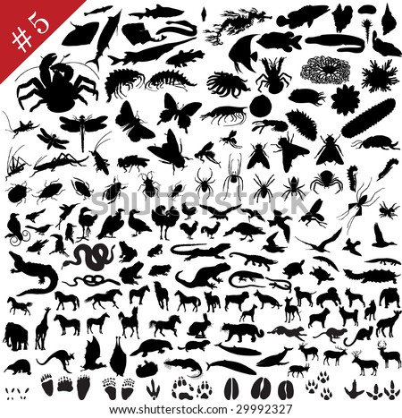 # 5 set of  different animals, birds, insects and fishes  vector silhouettes