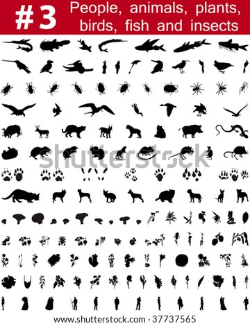Set # 3. Big collection of collage silhouettes of people, animals, birds, fish, flowers and insects