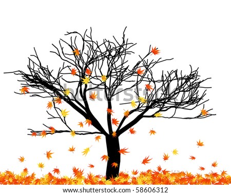 Maple Tree Illustration