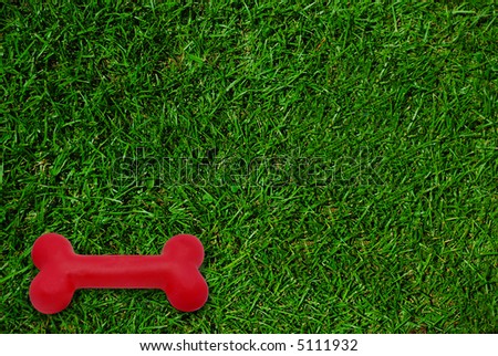 Bright red dog bone on green grass