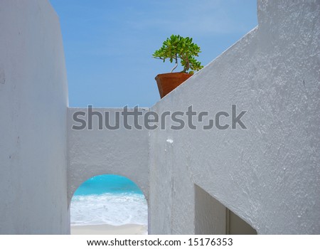 Jade plants and stucco wall with caribbean ocean in background