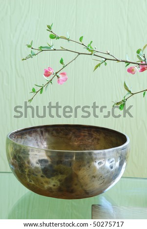 Tibetan singing bowl and flowering tree branch
