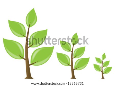 Set Of Growing Trees Stock Vector Illustration 15365731 : Shutterstock