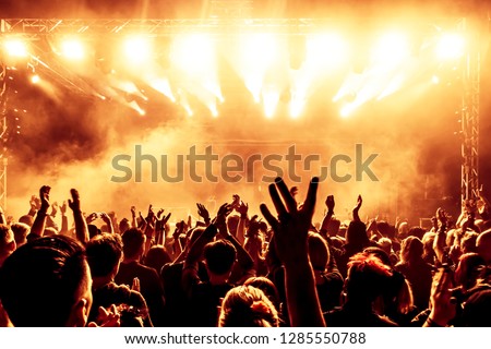 concert crowd at rock concert