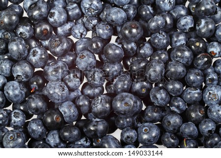 Blueberries scattered on light gray background closeup