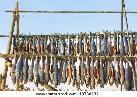 Salmon strips drying on racks with protection net