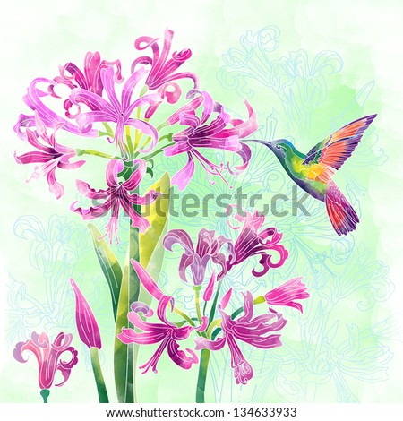exotic flowers and humming bird