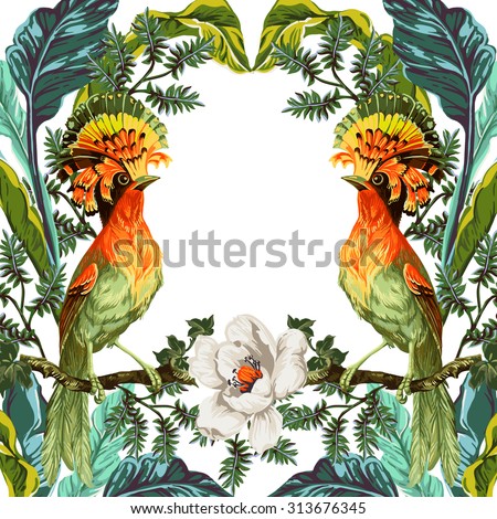Bird of Paradise and exotic flowers on a white background