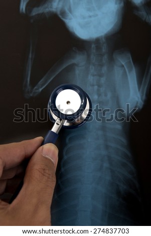 hand hold stethoscope on an x-ray image of pet