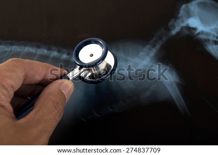 hand hold stethoscope on an x-ray image of sick pet
