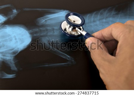 hand hold stethoscope on an x-ray image of sick pet
