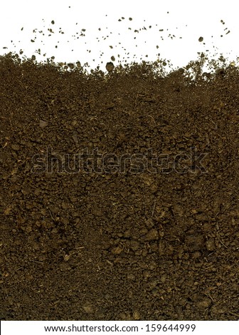 soil on white background