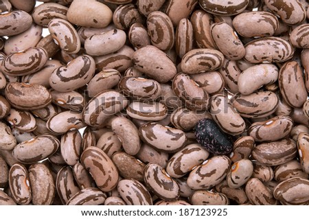 Heap of pinto beans isolated on white