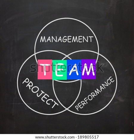 Words Referring to Team Management Project Performance