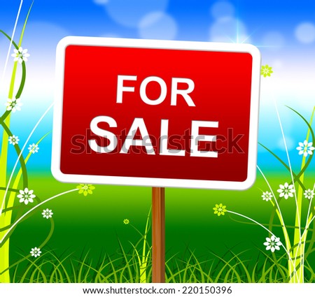 For Sale Showing Real Estate Agent And Sell House