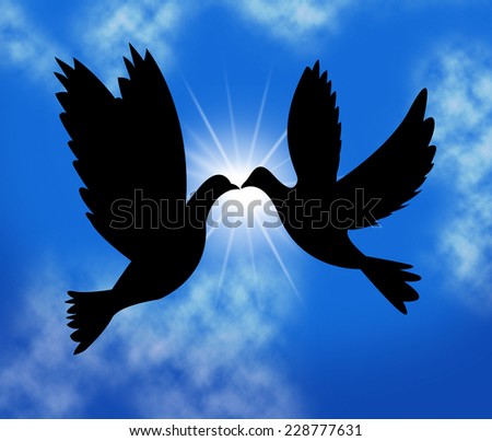 Peace Doves Meaning Birds In Flight And Love Not War