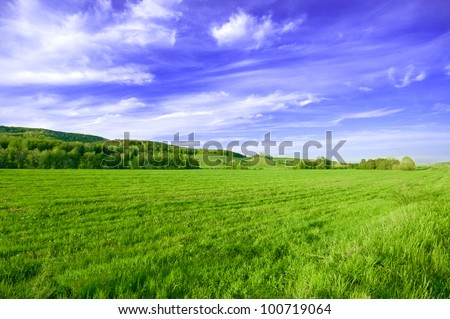 Spring or summer sunny day landscape