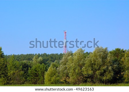 Cellular communication tower in a wood on blue sky