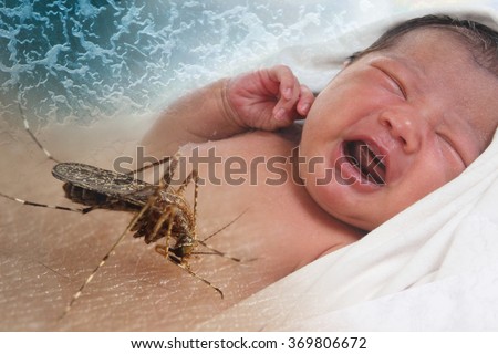 Health issue concept, image of crying baby bitten by Aedes Aegypti mosquito as Zika Virus carrier