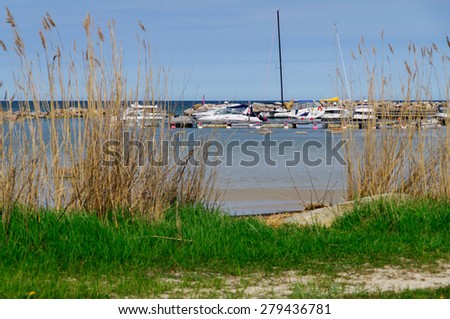 Small yacht wharf view through reed thicket