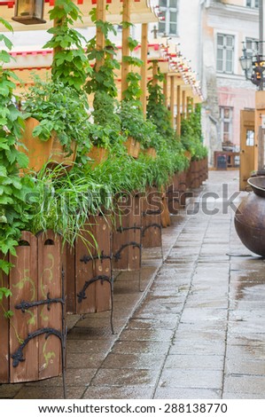 Scenic medieval style outdoor terrace with plants and flowers on classic european old town street
