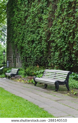 White benches in park near stone wall covered by climbing plants