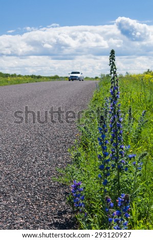 Car moving by rural road, focus on front roadside flowers
