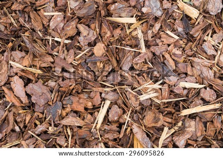 Natural bark used as a soil covering (compost) for mulch in the garden, wood chip background texture