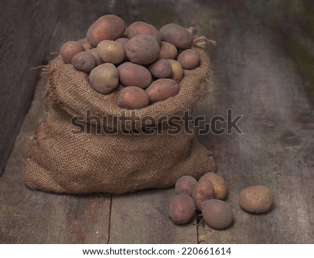 Fresh harvested potatoes spilling out of a burlap bag, on a rough wooden table, gorizontal