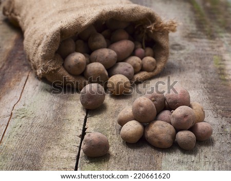Fresh harvested potatoes spilling out of a burlap bag, on a rough wooden table, gorizontal