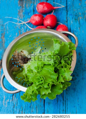 Fresh vegetables, radishes, cabbage, rocket salad on old wooden table in colander