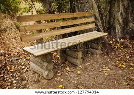 Rustic Park Bench on a forest trail