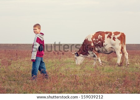 Little boy looking at a grazing cow