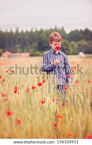 Boy smelling poppy flowers