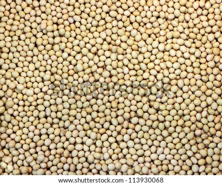 Dry soybean closeup background