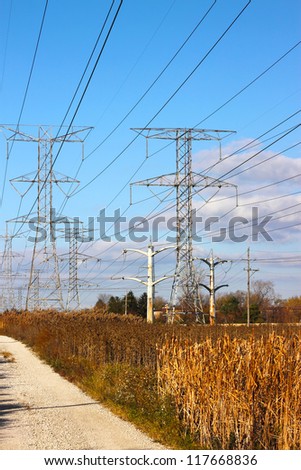 Electric power transmission towers in a wild ground