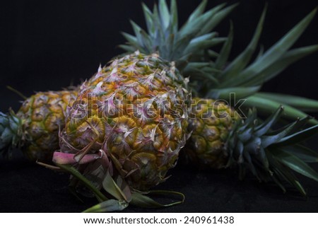 Tropical fruit pineapple close up in black background