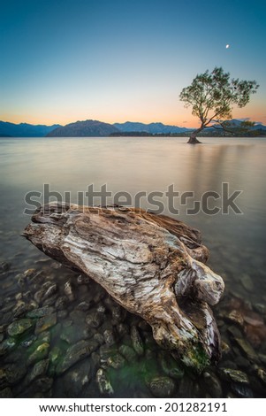 Lake Wanaka with the lone tree and a piece of wood at sunset, New Zealand