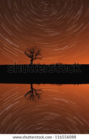 A concept of a single tree silhouette on a lake, in the night, with star trail mirror reflection