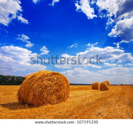 Big round bales of straw on farmland